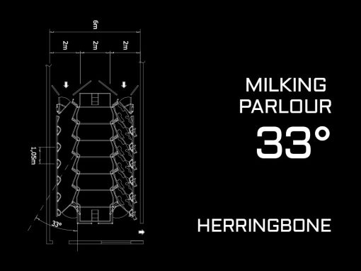 Herringbone Milking Parlour