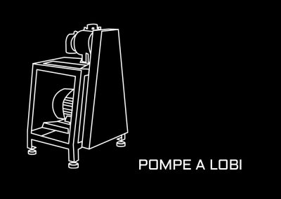 Pompa a lobi