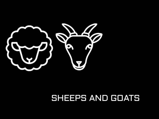 Sheeps and Goats