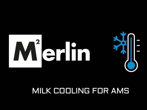 Milk cooling for AMS